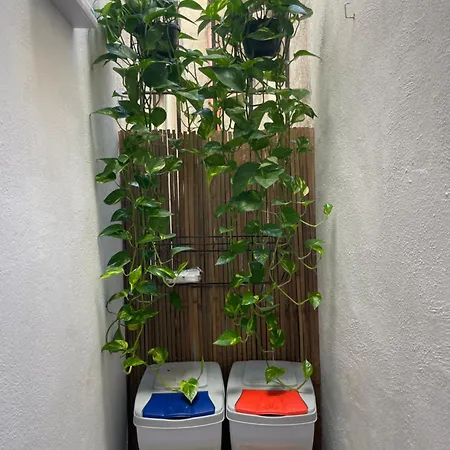 Via Amsicora * Olbia